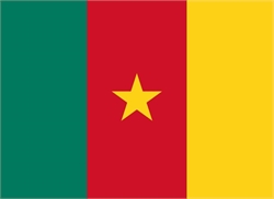 [ai] The flag of Cameroon featuring three vertical stripes: green on the left, red in the center with a yellow star, and yellow on the right.